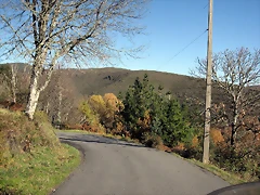 IMG_0190 IMG_0190