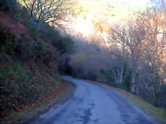 DSCN0463 DSCN0463