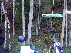 DSCN0493 DSCN0493