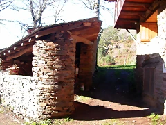 DSCN0401 DSCN0401