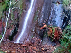 DSCN0497 DSCN0497