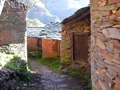 DSCN0406 DSCN0406