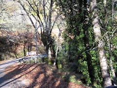 IMG_0192 IMG_0192
