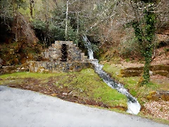 DSCN9180.JPEG DSCN9180.JPEG