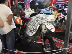 SDC14384 SDC14384
