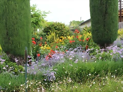 IMG_3277 IMG_3277