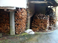 DSCN6154 DSCN6154