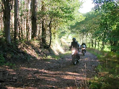 DSCN5488 DSCN5488