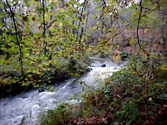 DSCN1809 DSCN1809