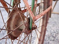 IMG_9953 IMG_9953