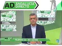 andalucia directo