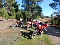 DSCN4595 DSCN4595