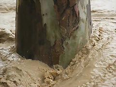 como agua para chocolate