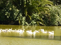 P1050623