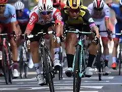 Caleb Ewan contra Dylan