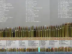 Complete-Rifle-Ammunition-Guide-Comparisom