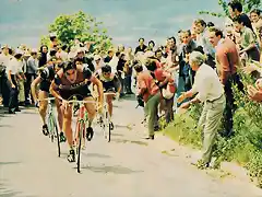 Merckx, Conti, Bitossi et GB Baronchelli