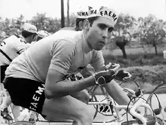 Giro 1968 Eddy Merckx, Faema