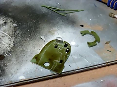 P1060502 P1060502