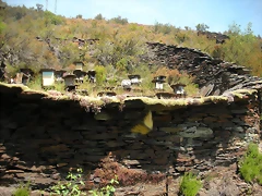 DSCN5791
