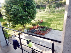 DSCN6820 DSCN6820