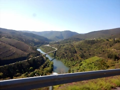 DSCN5461 DSCN5461