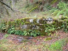 DSCN5780 DSCN5780