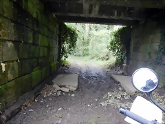 DSCN9176
