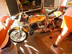 DSCN5617 DSCN5617
