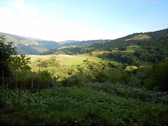 DSCN9284 DSCN9284