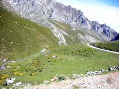 DSCN8184 DSCN8184