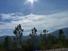 P1070285 P1070285
