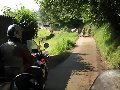 DSCN3740 DSCN3740