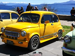 CAS_3956 CAS_3956