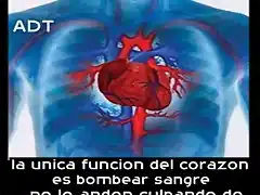 la  unica funcion del corazon