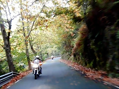 DSCN1082 DSCN1082