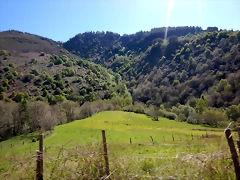 DSCN0028 DSCN0028