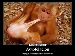 autofelacion