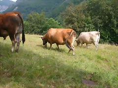 DSCN3818 DSCN3818