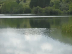 DSCN6173 DSCN6173