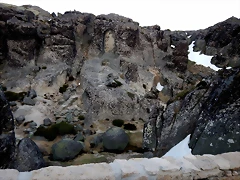 DSCN0127 DSCN0127