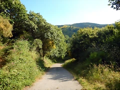 DSCN9254 DSCN9254