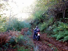 DSCN1411 DSCN1411