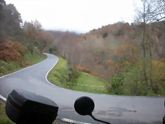 DSCN1005 DSCN1005