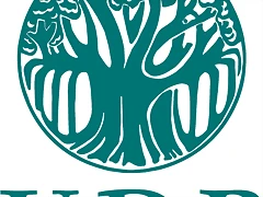 UNION DE PROTESTANTES_LOGO PARTIDO POLITICO