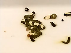 IMG_20191217_202915