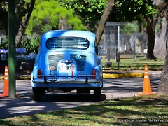 DSC_0688 DSC_0688