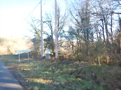 DSCN2577 DSCN2577