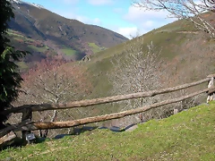 DSCN7793 DSCN7793