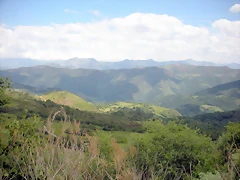 DSCN3940 DSCN3940